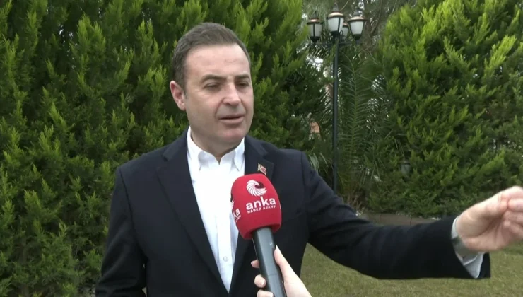 CHP’li Ahmet Akın: Terk Edilmiş Ağaçlarımızdan Gelen Zeytinin Bereketiyle 6 Bin Kardeşime Burs Vereceğim